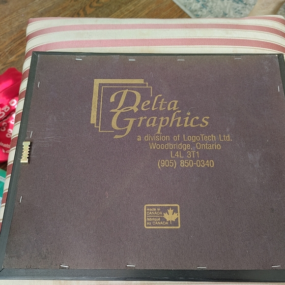 Art work framed by Delta Graphics - Picture 2 of 3